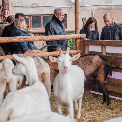 LES RENDEZ-VOUS DE TERRITOIRE