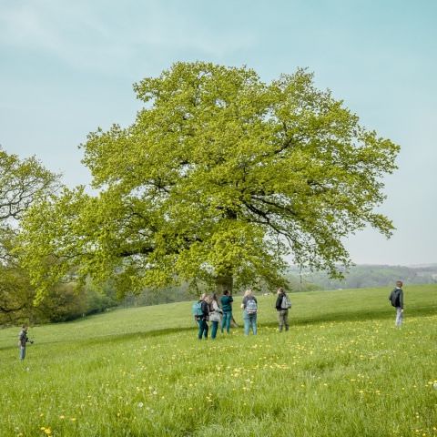 DÉCOUVERTE - Domaine de la Voie Lactée