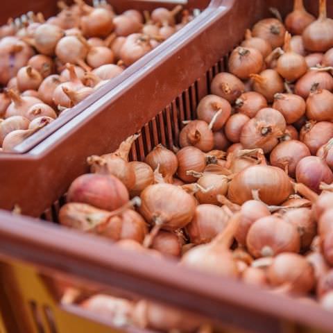 Marché Hebdo à Volmunster