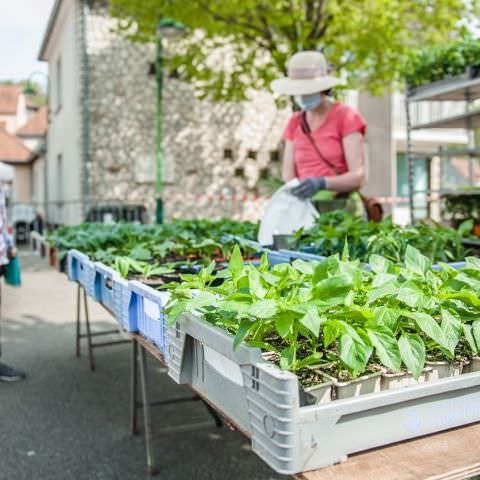 Marché Hebdo à Volmunster