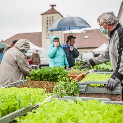 Marché Hebdo à Volmunster