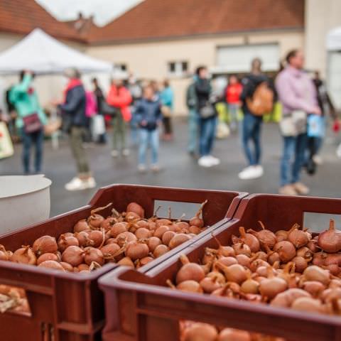 Marché Hebdo à Volmunster