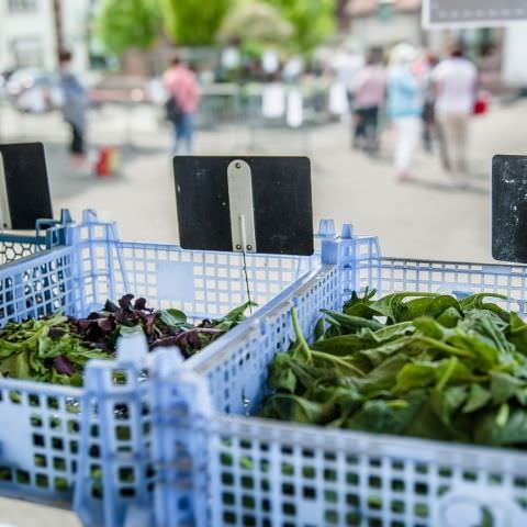 Marché Hebdo à Volmunster