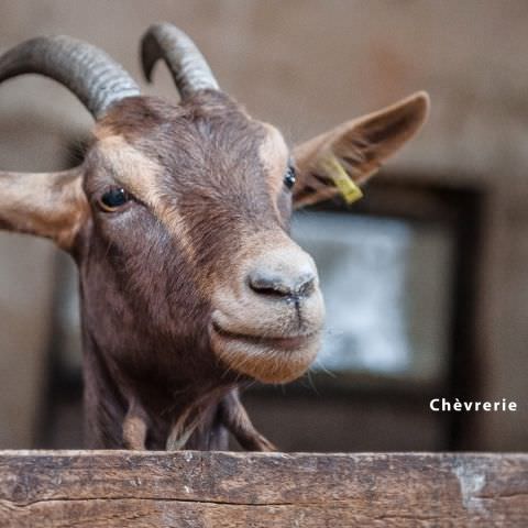 De Ferme En Ferme - 27 septembre