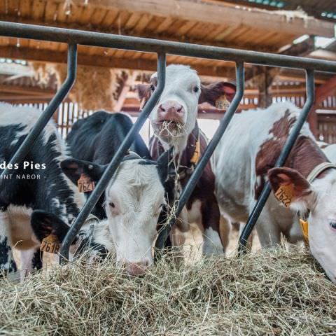 De Ferme En Ferme - 27 septembre