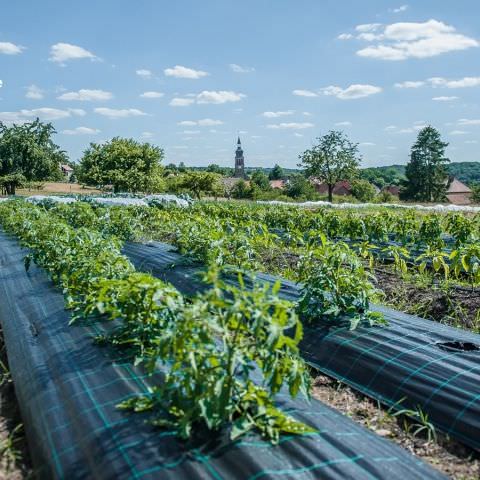 De Ferme En Ferme - 27 septembre