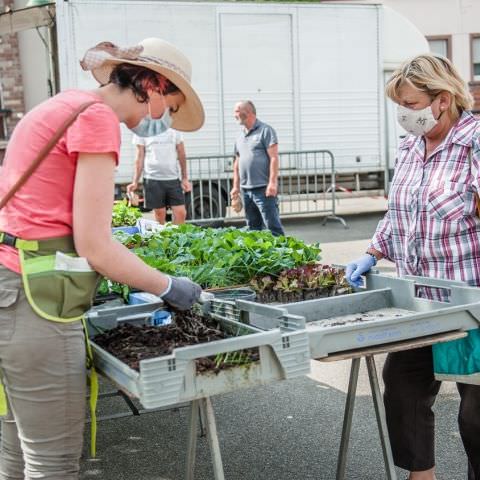 Marché Hebdo à Volmunster