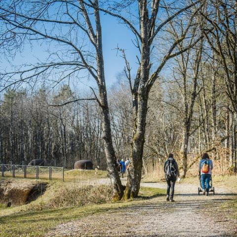 20ème Anniversaire de l'ouverture au Public du Simserhof