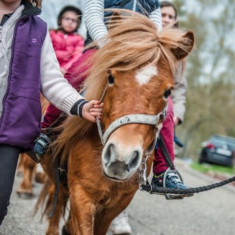 20ème Anniversaire de l'ouverture au Public du Simserhof