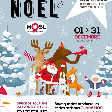 Place des producteurs et artisans - Vitrines de Noël du Bitcherland