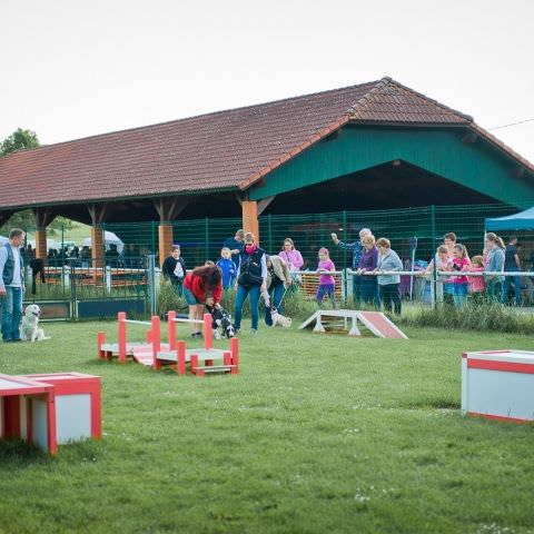 Marché Paysan Nocturne - NITTING - 25 mai 2016