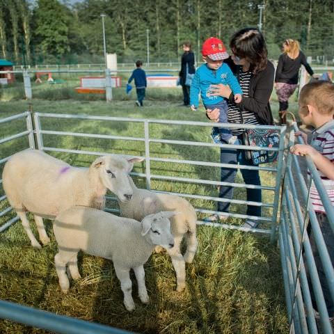 Marché Paysan Nocturne - NITTING - 25 mai 2016