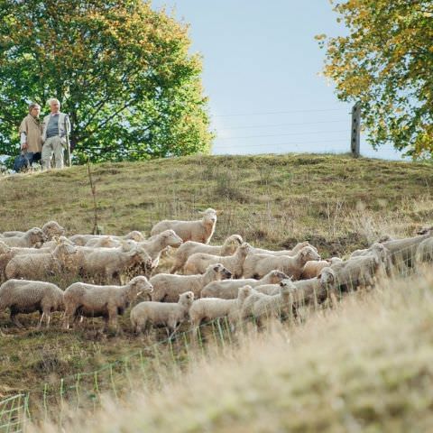 Marché Paysan - BITCHE - 01 octobre 2017