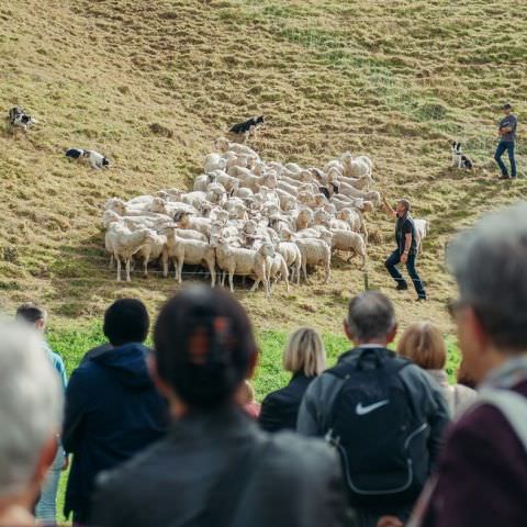 Marché Paysan - BITCHE - 01 octobre 2017