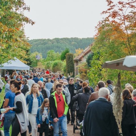 Marché Paysan - BITCHE - 01 octobre 2017