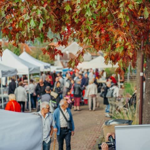 Marché Paysan - BITCHE - 01 octobre 2017