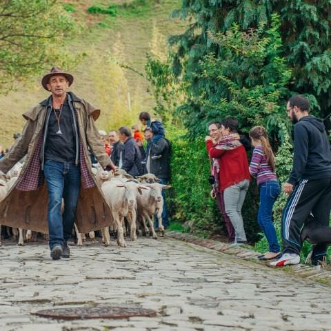 Marché Paysan - BITCHE - 01 octobre 2017