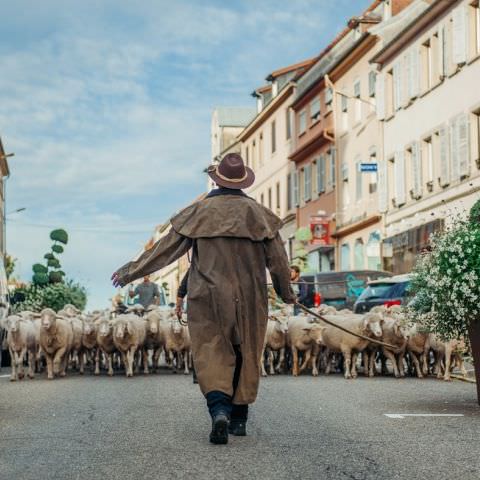 Marché Paysan - BITCHE - 01 octobre 2017