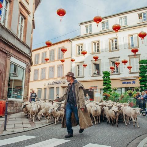 Marché Paysan - BITCHE - 01 octobre 2017