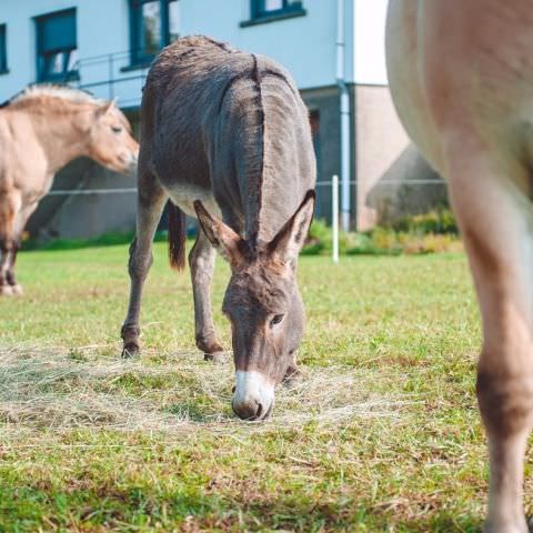 De Ferme En Ferme - 24 septembre 2017