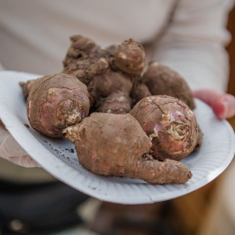 Marché Paysan - ST LOUIS-LES-BITCHE - 08 avril 2018