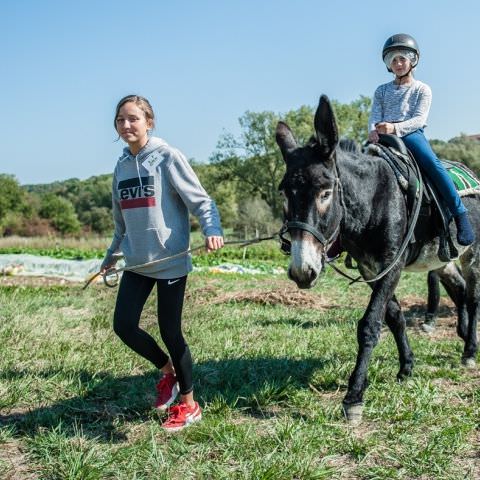 De Ferme En Ferme - 30 septembre 2018