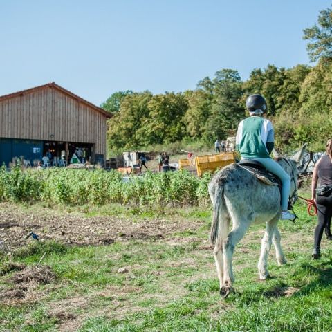 De Ferme En Ferme - 30 septembre 2018