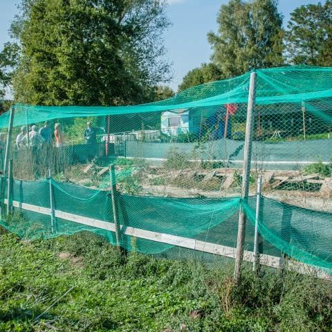 De Ferme En Ferme - 30 septembre 2018