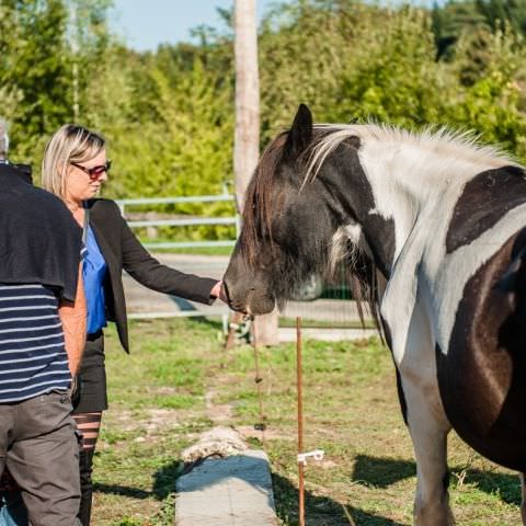 De Ferme En Ferme - 30 septembre 2018