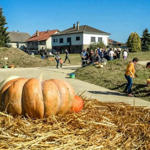 De Ferme En Ferme - 30 septembre 2018