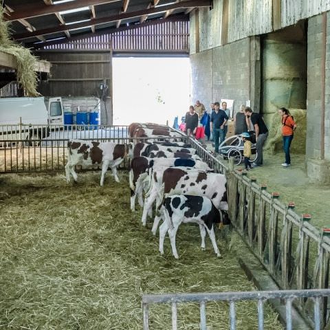 De Ferme En Ferme - 30 septembre 2018