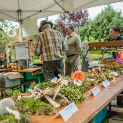 Marché Paysan - BITCHE - 07 octobre 2018