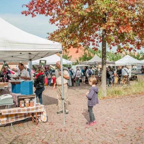 Marché Paysan - BITCHE - 07 octobre 2018