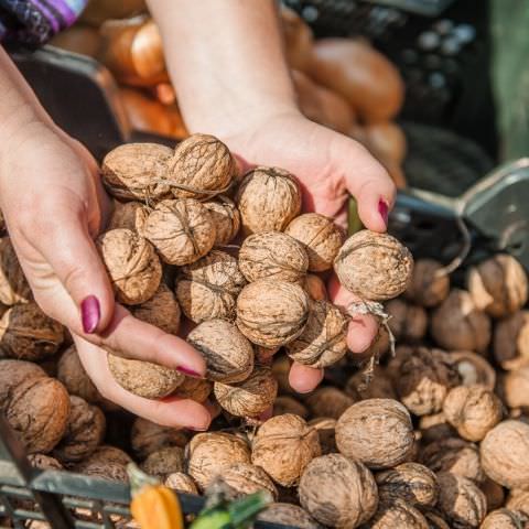 Marché Paysan - BITCHE - 07 octobre 2018