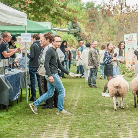 Marché Paysan - BITCHE - 07 octobre 2018