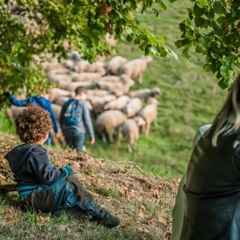 Marché Paysan - BITCHE - 07 octobre 2018