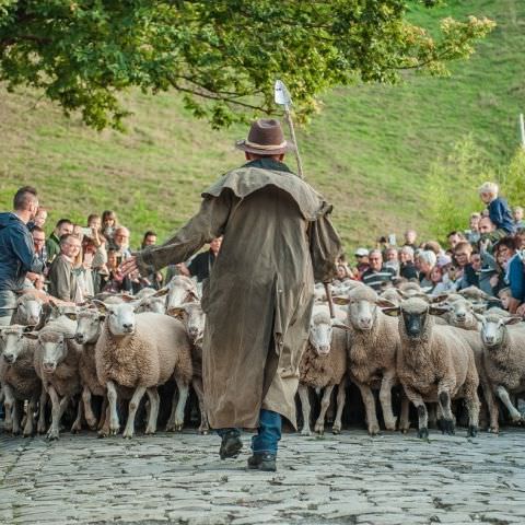 Marché Paysan - BITCHE - 07 octobre 2018