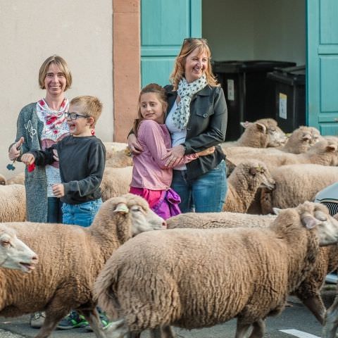 Marché Paysan - BITCHE - 07 octobre 2018