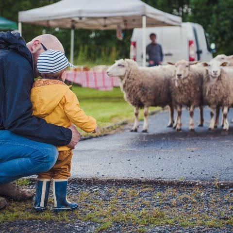 Marché Paysan Nocturne - LORQUIN - 15 juin 2016 