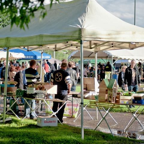 Marché Paysan Nocturne - LORQUIN - 15 juin 2016 