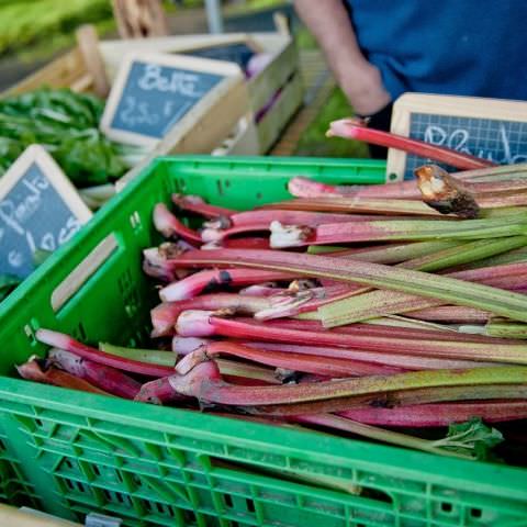 Marché Paysan Nocturne - LORQUIN - 15 juin 2016 