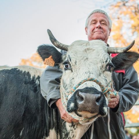 Marché Paysan - SARREGUEMINES - 21 octobre 2018