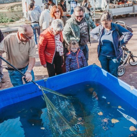 Marché Paysan - SARREGUEMINES - 21 octobre 2018