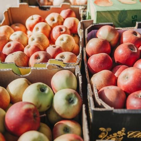 Marché Paysan - SARREGUEMINES - 21 octobre 2018