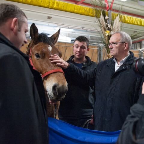 Salon International de l'Agriculture - Mars 2019