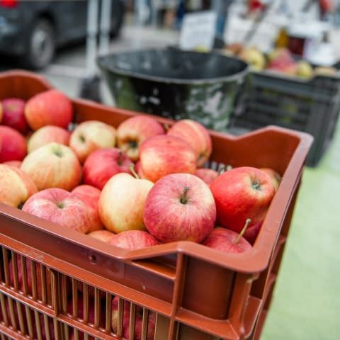 Marché Paysan - ST LOUIS-LES-BITCHE - 07 avril 2019