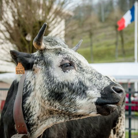 Marché Paysan - ST LOUIS-LES-BITCHE - 07 avril 2019