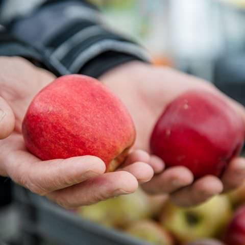 Marché Paysan - ST LOUIS-LES-BITCHE - 07 avril 2019