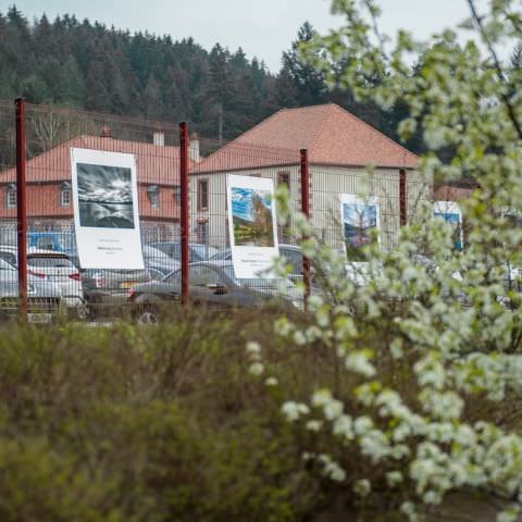 Marché Paysan - ST LOUIS-LES-BITCHE - 07 avril 2019