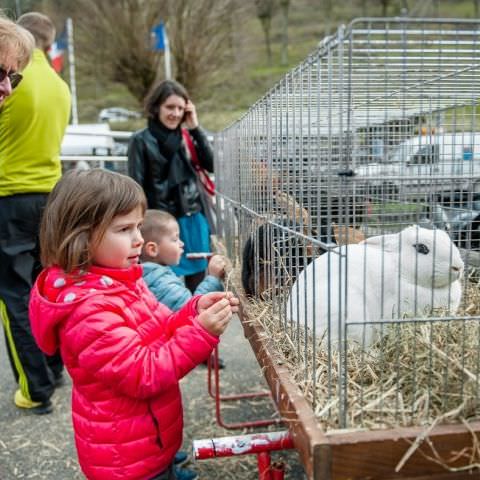 Marché Paysan - ST LOUIS-LES-BITCHE - 07 avril 2019